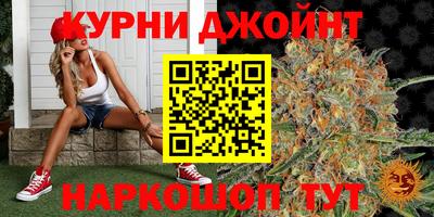 сатива Бийск