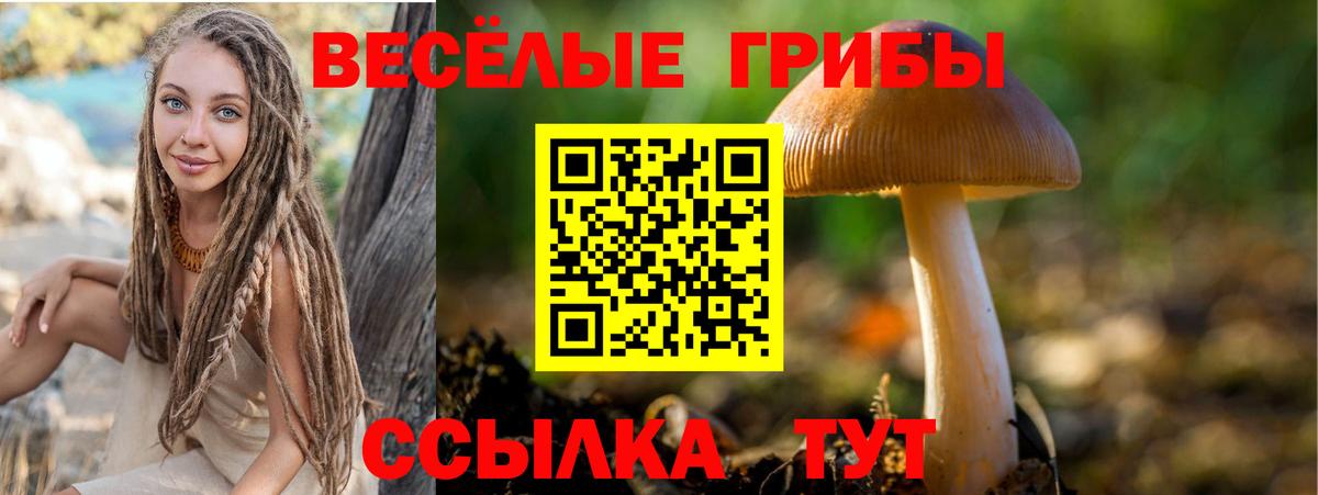 Избербаш  что такое наркотик  Вход с VPN  Псилоцибиновые грибы Psilocybine cubensis 