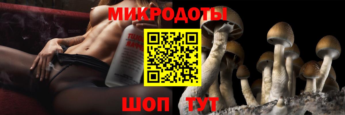 Псилоцибиновые грибы Magic Shrooms Избербаш